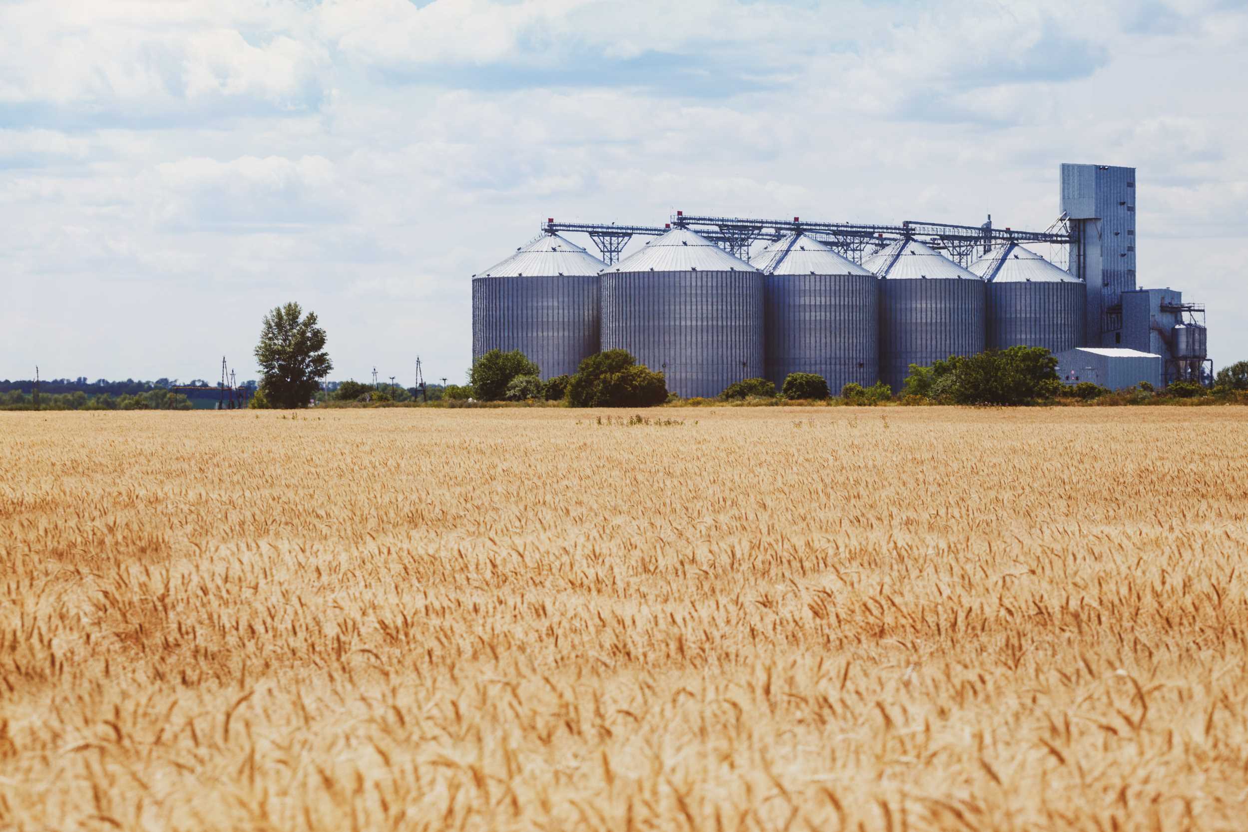 ama Al-Manar’s Agro-Industrial Complex